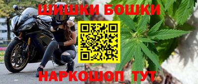 прущие грибы Апшеронск