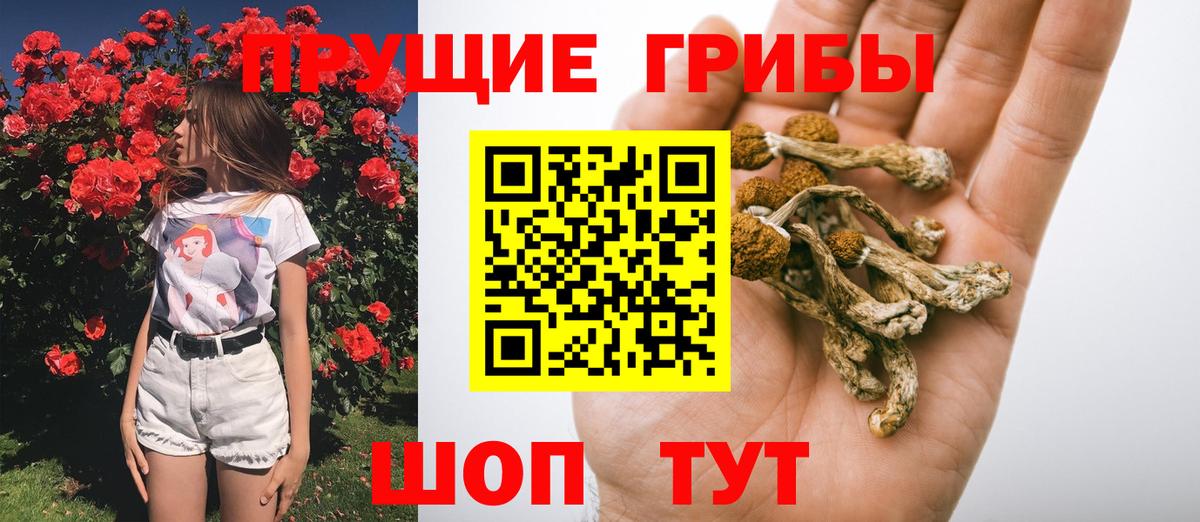 купить  цена  Вход с VPN  Братск  Галлюциногенные грибы MAGIC MUSHROOMS  Псилоцибиновые грибы мухоморы 