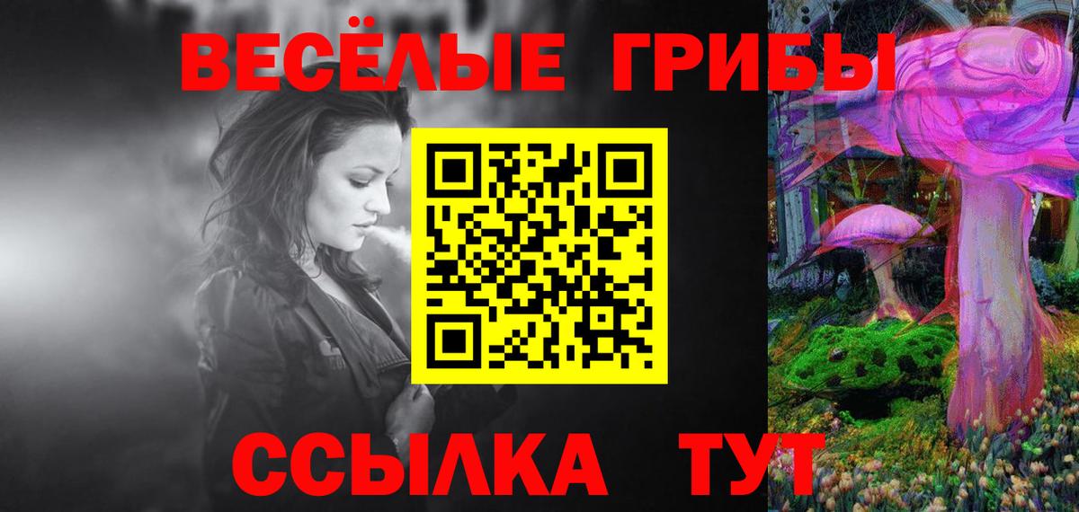 Галлюциногенные грибы Psilocybe Братск